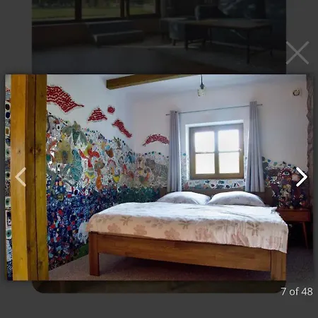 Medvedi Paseka Jindřichŭv Hradec